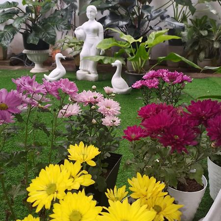 Ella Way Resort Peradeniya Kültér fotó