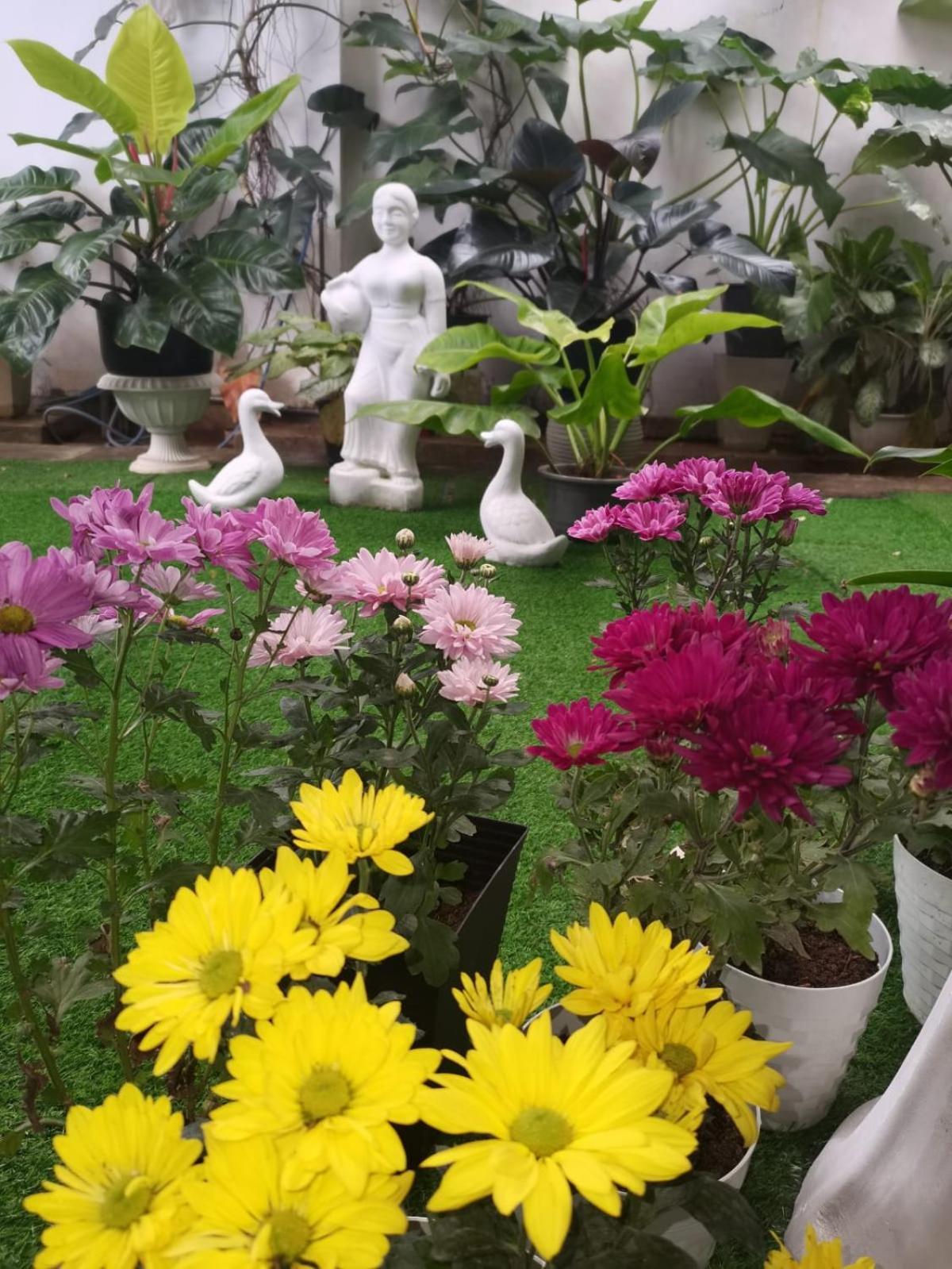Ella Way Resort Peradeniya Kültér fotó